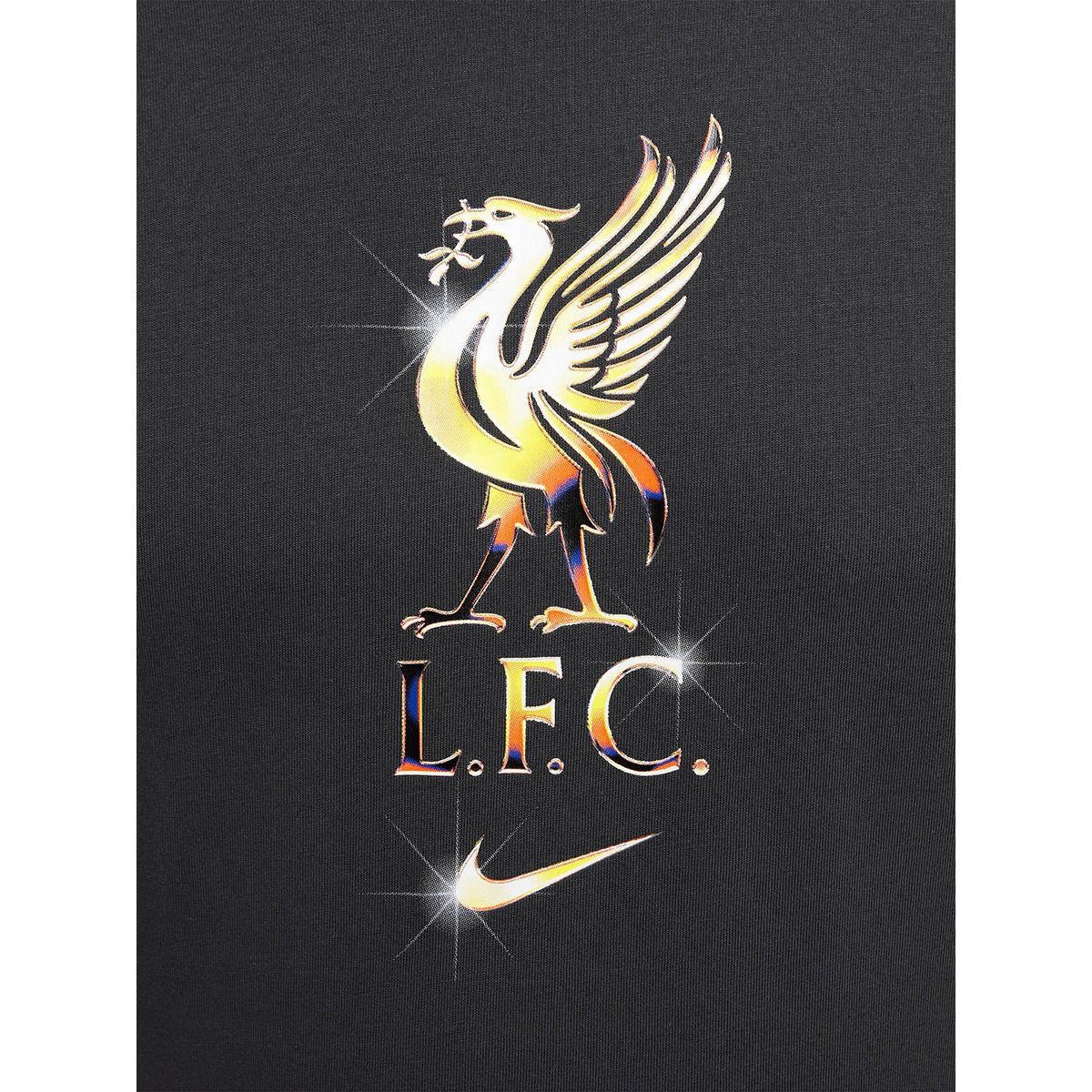 NIKE Liverpool FC Men's Football T-Shirt - Black - 2XL (US SIZE)