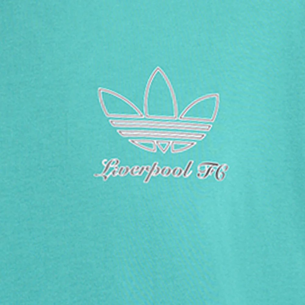 ADIDAS Liverpool FC Terrace Icons Graphic Men's Football T-shirt - Green - 2XL (UK SIZE)