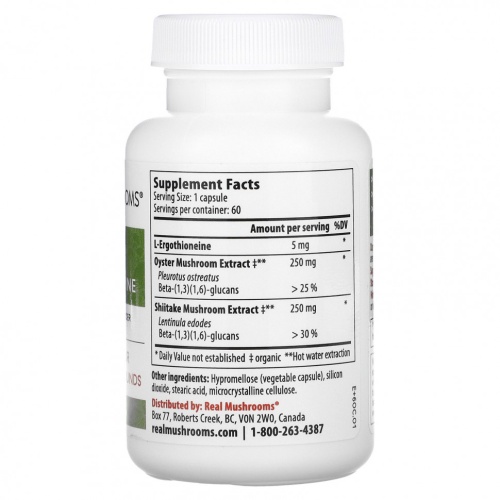 Real Mushrooms, ERGO + L-эрготионеин`` 60 капсул фото 2