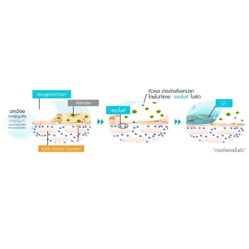 Curel Intensive Moisture Care Shampoo фото 3