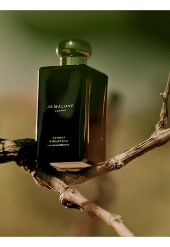 Unisex Cypress & Grapevine Cologne Intense - 100% оригинал фото 4