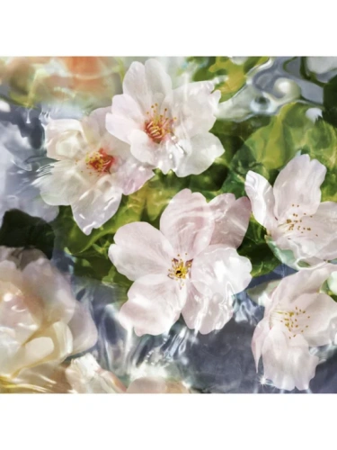 Aqua Allegoria - Flora Cherrysia  Eau de Toilette 125 mL - 100% оригинал фото 2