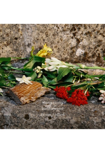 Bloom Profumo di Fiori Eau de Parfum for Women 100ml - 100% оригинал фото 7