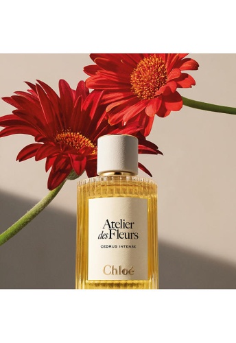 Women Fragrance Atelier des Fleurs Eau de Parfum Cedrus Intense 150 mL - 100% оригинал фото 6
