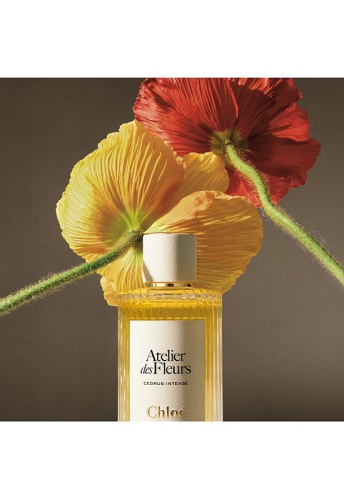 Women Fragrance Atelier des Fleurs Eau de Parfum Cedrus Intense 150 mL - 100% оригинал фото 7