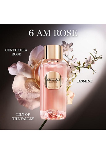 Women Fragrance Absolue Les Parfums 6 AM Rose EDP 100 mL - 100% оригинал фото 4