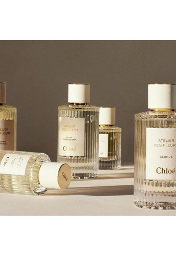 Women Fragrance Atelier des Fleurs Verbena Eau de Parfum 50 mL - 100% оригинал фото 5