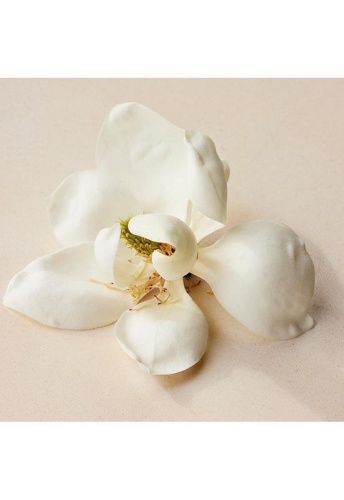 Women Fragrance Atelier des Fleurs Magnolia Alba Eau de Parfum 50 mL - 100% оригинал фото 4