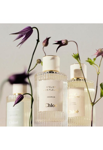 Women Fragrance Atelier des Fleurs Magnolia Alba Eau de Parfum 50 mL - 100% оригинал фото 6