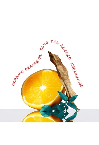 CK Everyone Eau de Toilette Unisex 200ml - 100% оригинал фото 3