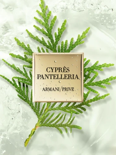 Armani/Prive Cypres Pantelleria EDT 50 mL - 100% оригинал фото 4