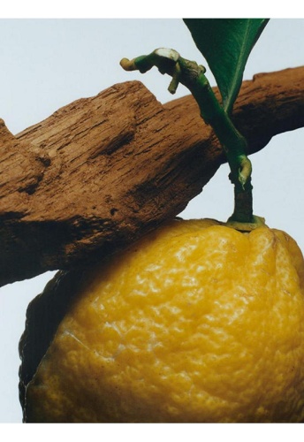 Oud & Bergamot Home Candle 200 g - 100% оригинал фото 4