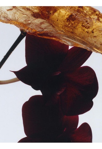 DA & GI Home Candle 200 g - 100% оригинал фото 4