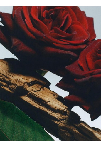 VR&O Home Candle 200 g - 100% оригинал фото 4