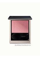 Blurring Color Blush 6.4 g