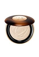 Teint Idole Ultra Wear Highlighter 04 10 g