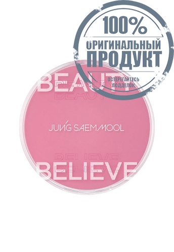 Artist Cushion Blush 4 g