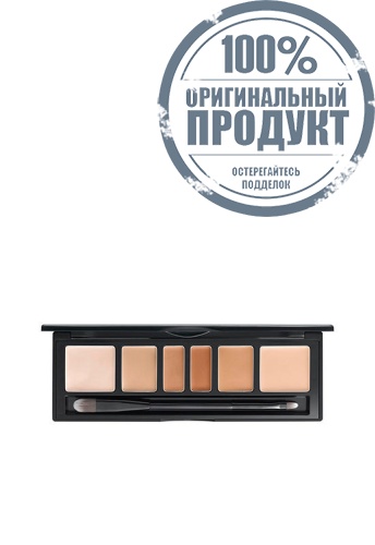 Artist Concealer Palette 6.6 g
