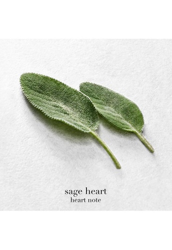 Men Fragrance Acqua DI Giò EDP 50 mL - 100% оригинал фото 3