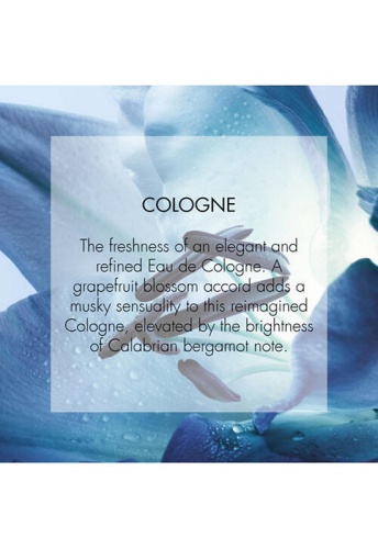 Homme Cologne - 100% оригинал фото 5