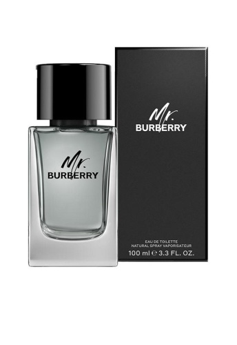 Men Fragrance Mr. Burberry Eau de Toilette 100 mL - 100% оригинал фото 2