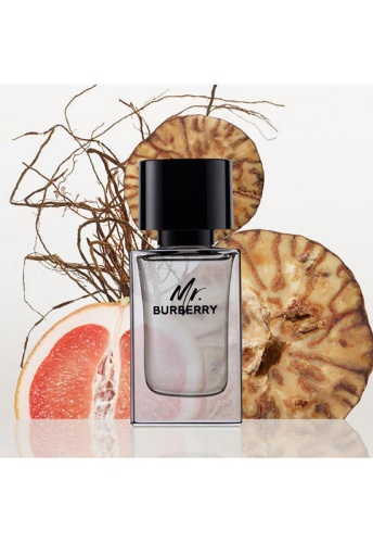 Men Fragrance Mr. Burberry Eau de Toilette 50 mL - 100% оригинал фото 4