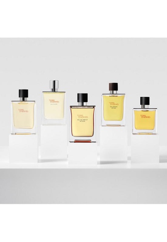 Men Fragrance Terre d'Hermès Eau de Parfum Intense 50 mL - 100% оригинал фото 5