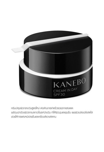 Cream In Day II 40 g - 100% оригинал фото 2 Cream In Day II 40 g - 100% оригинал фото 2