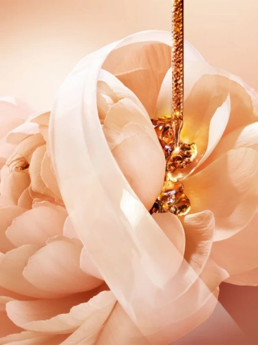 Absolue Light Cream 60 mL - 100% оригинал фото 4