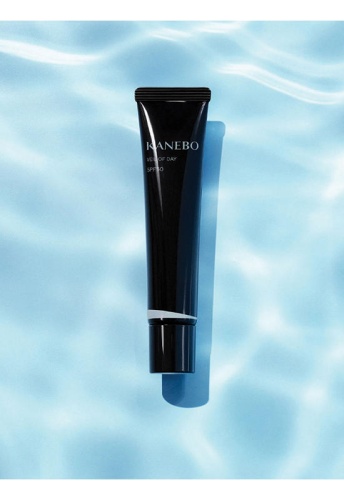 KANEBO VEIL OF DAY 60 G - 100% оригинал фото 3