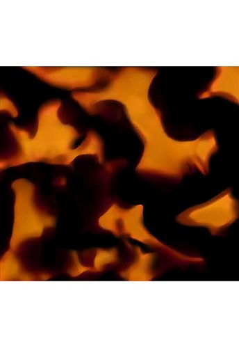 Rouge G 24 Lips Case L'Ecaille - 100% оригинал фото 3