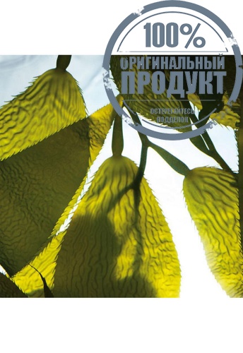 The Renewal Oil 30 mL - 100% оригинал фото 2 The Renewal Oil 30 mL - 100% оригинал фото 2