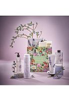 Gift Set Soothing Lavender 2024 Size L - 100% оригинал
