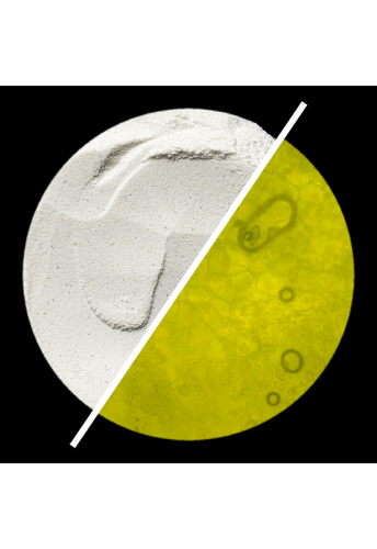 SKIN REGIMEN LX ENZYME EXFOLIATOR 55 G - 100% оригинал фото 3