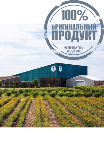 Frankincense Intense™ Lift Cream 50 g - 100% оригинал фото 4