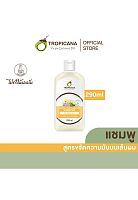 Coconut Oily Clarifying Shampoo for Oily Hair 290 ml. - 100% оригинал