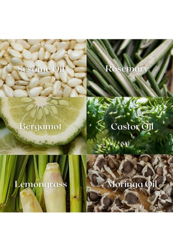 Moringa Hair Oil 60 mL - 100% оригинал фото 4