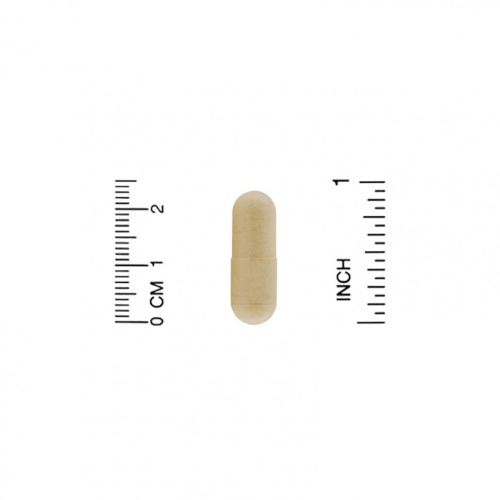 Organic India, амла, 90 вегетарианских капсул фото 3