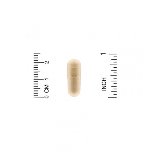 Enzymedica, Telomere Plus, 30 капсул фото 3