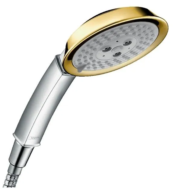 Душевая лейка Hansgrohe Raindance 28548090