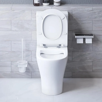 Унитаз-компакт Damixa Sirius DX86C8600SC безободковый  - фото 5