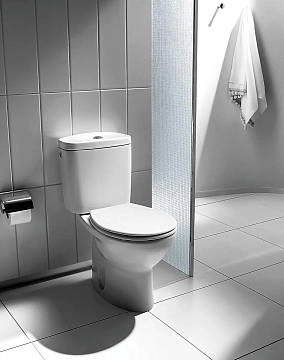 Унитаз-компакт Roca Victoria 342399000 без бачка и сиденья  - фото 4