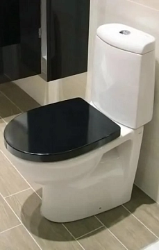 Унитаз-компакт Roca Victoria Nord 342nd7000 без бачка и сиденья  - фото 3