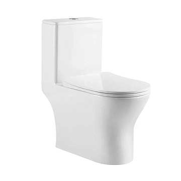 Унитаз-моноблок BelBagno Lounge BB8618CPR-MN/SC 
