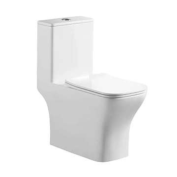 Унитаз-моноблок BelBagno Neon BB8617CPR-MN/SC 