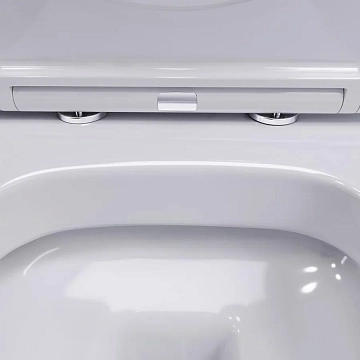 Унитаз подвесной Damixa Sirius DX86C1700SC с микролифтом  - фото 2