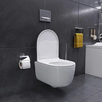 Унитаз подвесной Damixa Sirius DX86C1700SC с микролифтом  - фото 5