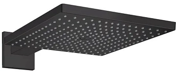 Верхний душ Hansgrohe Raindance E 26238670 