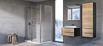 Дверь для душевого уголка Kolpa San Andromeda D 160 см silver 