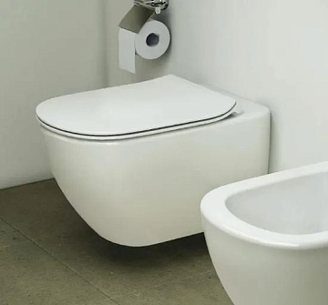Крышка-сиденье Ideal Standard Tesi T352701 с микролифтом, петли хром  - фото 4
